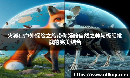 MK体育平台